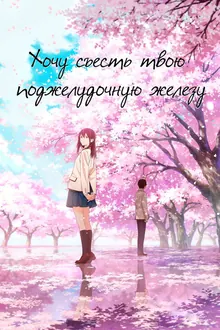 Постер Хочу съесть твою поджелудочную железу